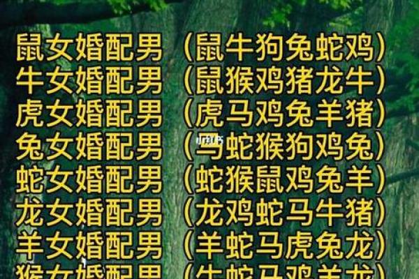 属猪男最佳婚配表_属猪男最佳婚配表揭秘最合适的生肖配对 属猪男最佳婚配表_属猪男最佳婚配表揭秘最合适的生肖配对