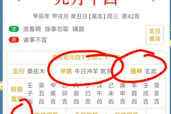 属鸡蛇年运势2025年运程 2025年属鸡蛇年运势解析运程详解与开运指南 属鸡蛇年运势2025年运程 2025年属鸡蛇年运势解析运程详解与开运指南