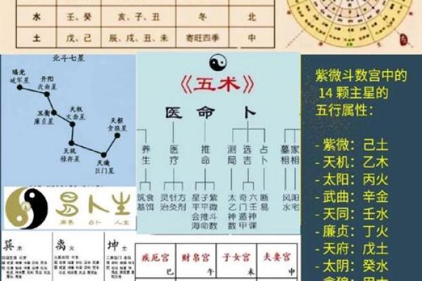 北派紫微斗数_北派紫微斗数揭秘古老命理学的现代应用 北派紫微斗数_北派紫微斗数揭秘古老命理学的现代应用