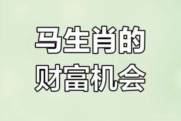 2025年谁心疼属马人_属马人的终身贵人
