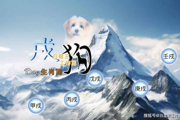 属狗2025_属狗2025年犯太岁吗 属狗2025_属狗2025年犯太岁吗