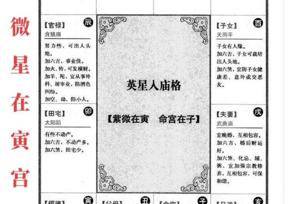 八字与紫微斗数优劣_八字与紫微斗数的区别