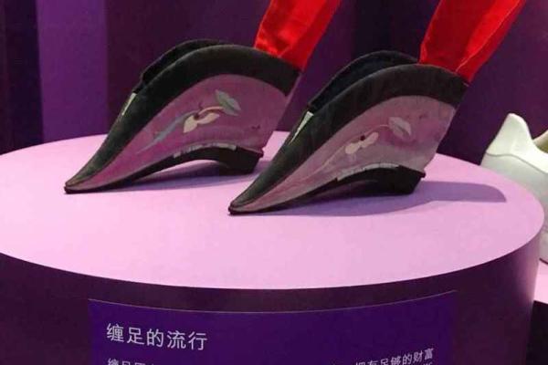 三寸金莲是什么生肖(三寸金莲是什么生肖动物) 三寸金莲是什么生肖(三寸金莲是什么生肖动物)