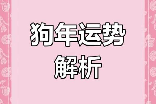 2025年属狗人的全年运势详解_2025年属狗人全年运势详解事业财运健康全解析 2025年属狗人的全年运势详解_2025年属狗人全年运势详解事业财运健康全解析