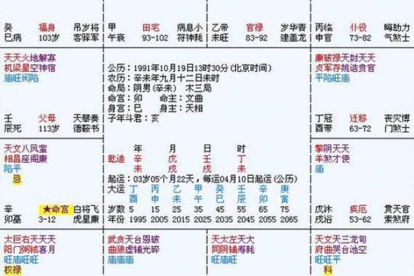 2025年3月2日子时男命紫微斗数全解盘 2025年3月2日子时男命紫微斗数全解盘