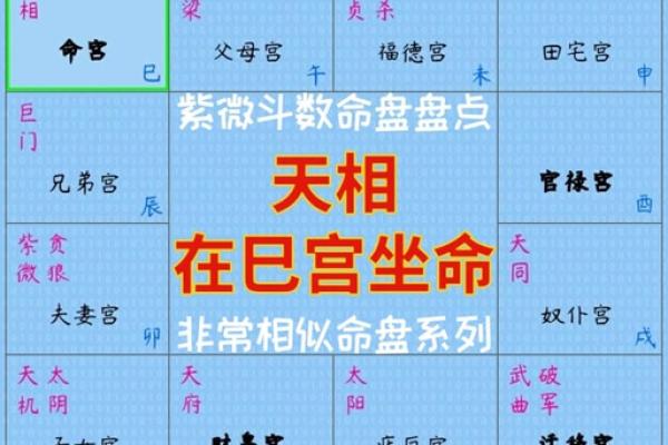 2025年3月23日丑时女命紫微斗数全解盘 2025年3月23日丑时女命紫微斗数全解盘