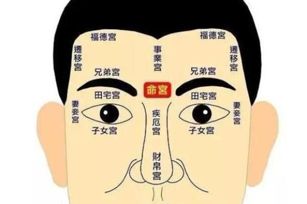 福德宫各星详解_福德宫重要 福德宫各星详解_福德宫重要