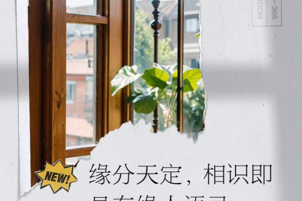 有缘分 有缘分的祝福语 有缘分 有缘分的祝福语