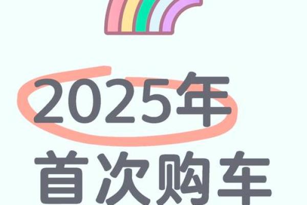 2025年首次买车补贴
