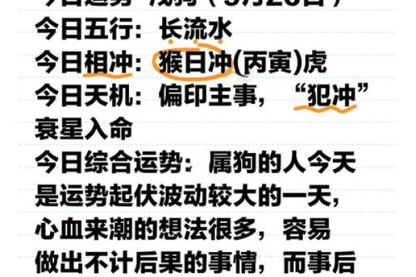 1970属狗2025年运势及运程详解 1970年属狗2025年运势详解运程预测与注意事项 1970属狗2025年运势及运程详解 1970年属狗2025年运势详解运程预测与注意事项
