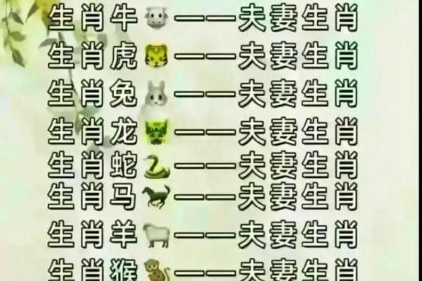 夫妻八字婚配表_夫妻八字婚配表揭秘最佳姻缘配对指南 夫妻八字婚配表_夫妻八字婚配表揭秘最佳姻缘配对指南