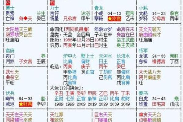 2025年3月14日丑时男命紫微斗数全解盘