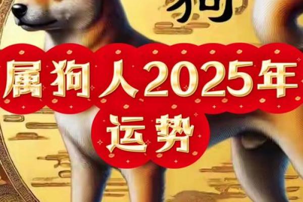 82属狗男2025年运势完整版 2025年82属狗男运势详解全年运程完整版 82属狗男2025年运势完整版 2025年82属狗男运势详解全年运程完整版