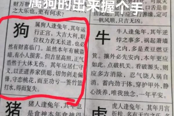 06年属狗今年多大2023年属狗人年龄详解 06年属狗今年多大2023年属狗人年龄详解