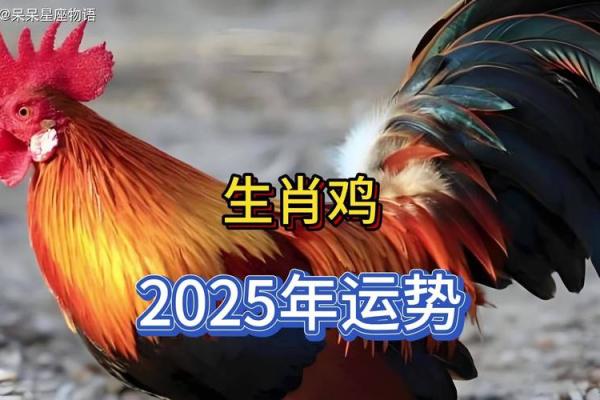 1993年属鸡2025运势及运程详解_1993年属鸡2025年运势详解运程全解析 1993年属鸡2025运势及运程详解_1993年属鸡2025年运势详解运程全解析