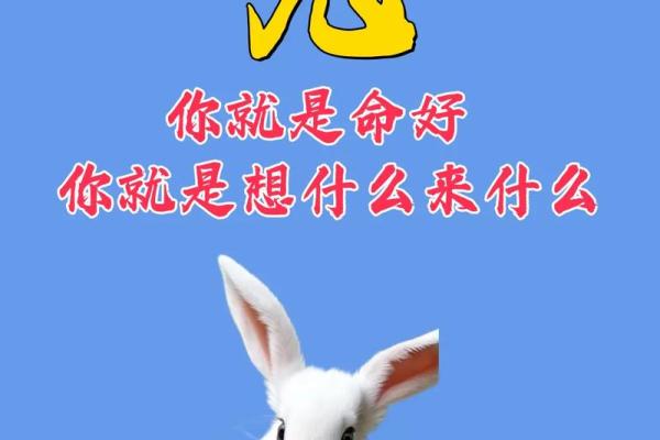 1975年属兔是什么五行命_1975年的兔五行属什么 1975年属兔是什么五行命_1975年的兔五行属什么