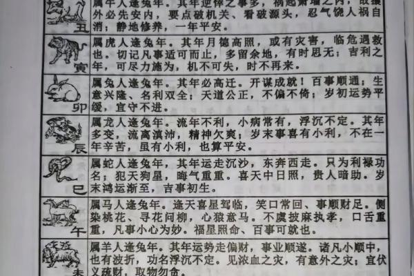 1954年属马今年多大2023年年龄计算与运势解析 1954年属马今年多大2023年年龄计算与运势解析