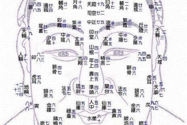 夫妻宫在哪里 夫妻宫位置解析如何找到你的婚姻宫位 夫妻宫在哪里 夫妻宫位置解析如何找到你的婚姻宫位