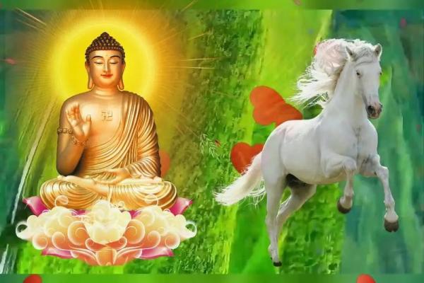 属马人的今日运势_属马人今日运势非常运势网 属马人的今日运势_属马人今日运势非常运势网