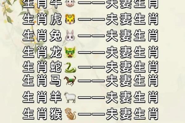 属兔的最佳配偶属相_属兔的最佳配偶属相有哪些 属兔的最佳配偶属相_属兔的最佳配偶属相有哪些