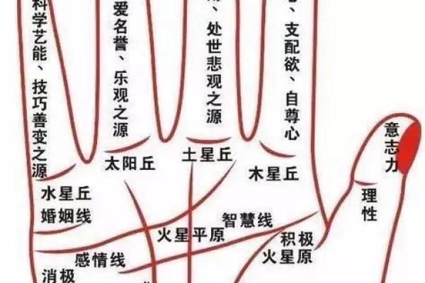 手相看姻缘揭秘掌纹中的爱情密码 手相看姻缘揭秘掌纹中的爱情密码