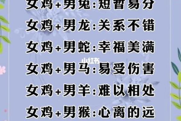 属狗和属虎的婚姻相配吗_94狗与98虎是几等婚配 属狗和属虎的婚姻相配吗_94狗与98虎是几等婚配