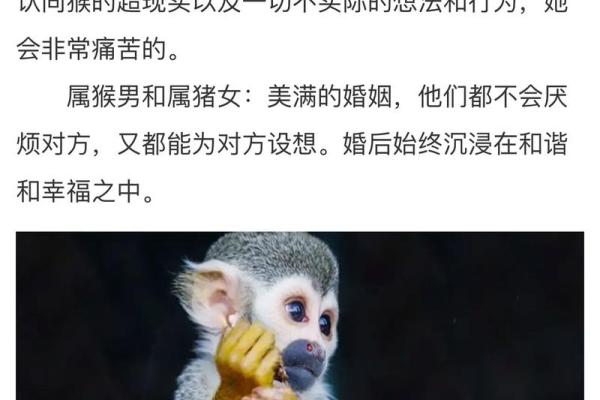 2025年结婚好不好92年属猴的 2025年结婚好不好92年属猴的