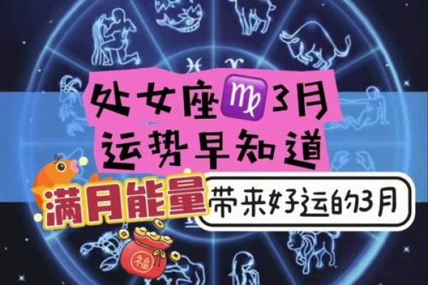 处女座2025年2月运势 2025年2月处女座运势事业爱情双丰收机遇与挑战并存 处女座2025年2月运势 2025年2月处女座运势事业爱情双丰收机遇与挑战并存