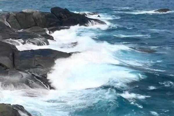 大海水下有特马猜生肖(大海水下是什么意思)