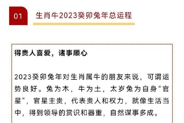 兔年运程2025_2025兔年运程详解运势预测与开运指南 兔年运程2025_2025兔年运程详解运势预测与开运指南