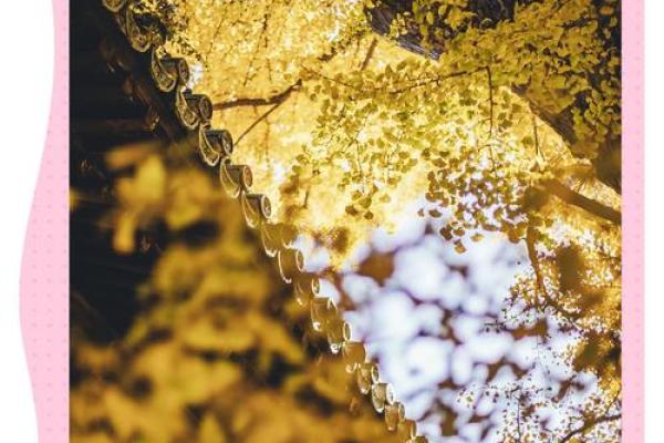 命带天喜姻缘天定 命带天喜神