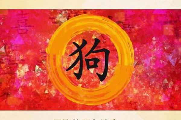 属狗2025年多大了_属狗人2025