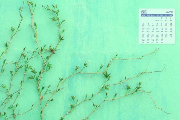 2021年4月日历怎么画(四月日历怎么做) 2021年4月日历怎么画(四月日历怎么做)