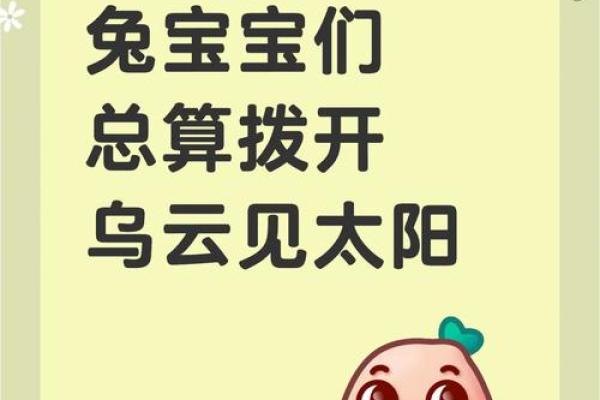 1963属兔2025年每月运势详解全年运程大揭秘