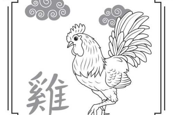 90年属马女二婚命运解析命中注定还是个人选择 90年属马女二婚命运解析命中注定还是个人选择