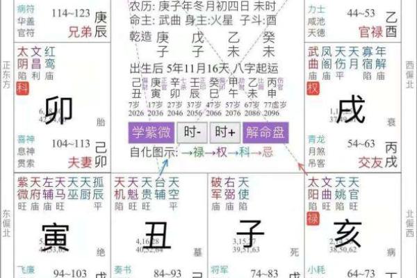 2025年3月13日子时男命紫微斗数全解盘 2025年3月13日子时男命紫微斗数全解盘