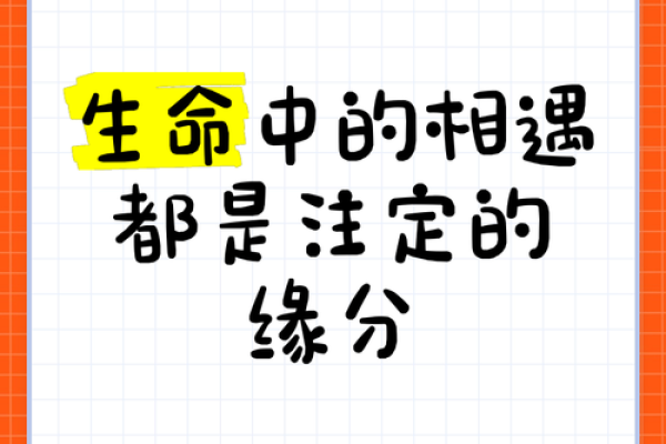 缘分的分是哪个分 缘分和缘份哪个才是正确 缘分的分是哪个分 缘分和缘份哪个才是正确