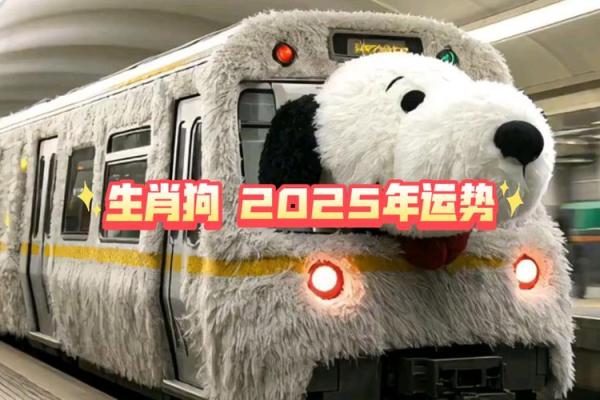 2025生肖狗82年运势_2025年生肖狗运势解析82年出生者运势大揭秘 2025生肖狗82年运势_2025年生肖狗运势解析82年出生者运势大揭秘