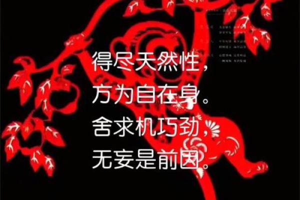 豪言空话打一个生肖(豪言空话打一个生肖) 豪言空话打一个生肖(豪言空话打一个生肖)