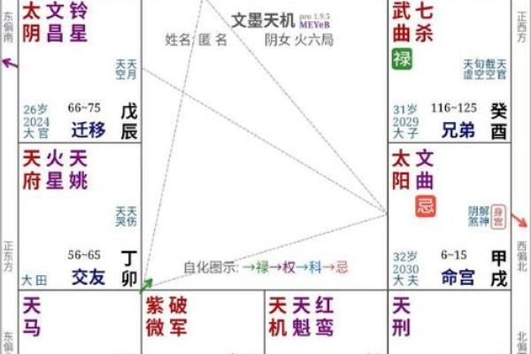 2025年3月10日子时女命紫微斗数全解盘