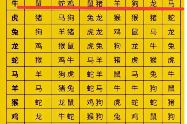 属兔的最佳婚配是_属兔能和属龙的婚配吗 属兔的最佳婚配是_属兔能和属龙的婚配吗