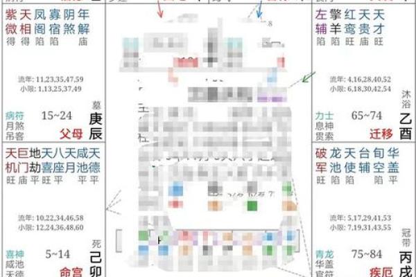 2025年2月15日丑时女命紫微斗数全解盘