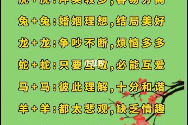 2002年属马女最佳婚配属相_2002年属马女最佳婚配属相解析姻缘配对指南