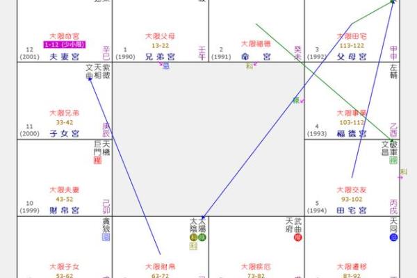 福德宫廉贞_福德宫廉贞解析命理运势与风水布局指南 福德宫廉贞_福德宫廉贞解析命理运势与风水布局指南