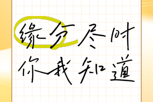 缘分的 缘分的诗句 缘分的 缘分的诗句