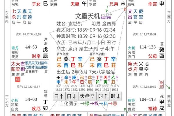 2025年3月30日子时女命紫微斗数全解盘