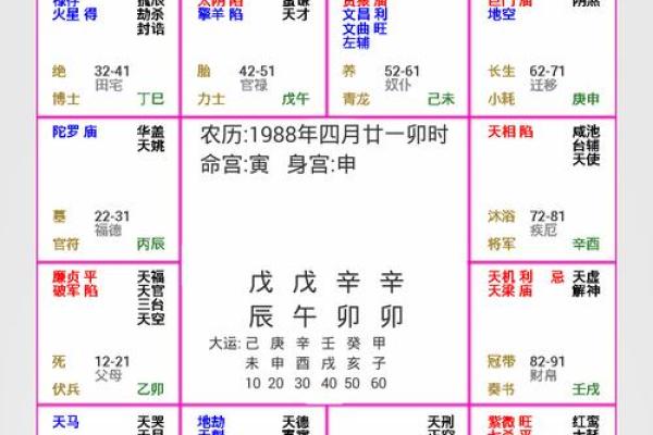 2025年3月18日子时男命紫微斗数全解盘 2025年3月18日子时男命紫微斗数全解盘