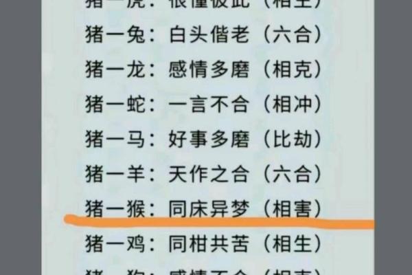 属鸡和兔相配婚姻如何 属鸡和属兔的婚姻合不合