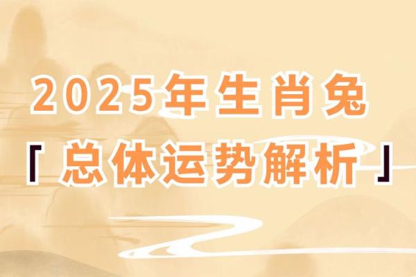 2025年生肖兔 2025年生肖兔适合什么颜色