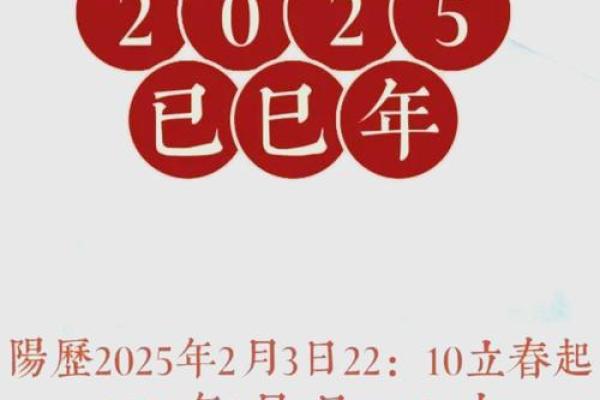 2025年属龙多少岁 2025年属龙的命运 2025年属龙多少岁 2025年属龙的命运